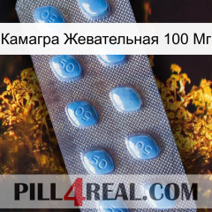 Камагра Жевательная 100 Мг viagra3